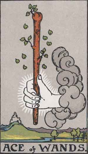 Ace of Wands — Rider-Waite tarot card